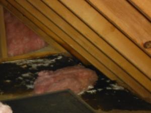 Roof Leaks discovered during an Energy Audit