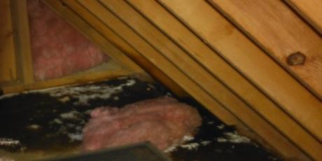 Roof Leaks discovered during an Energy Audit