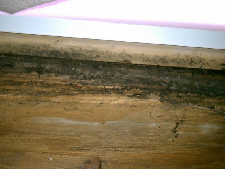 Gaps in the duct and HVAC system resulted in mold growth on some of the band joists.